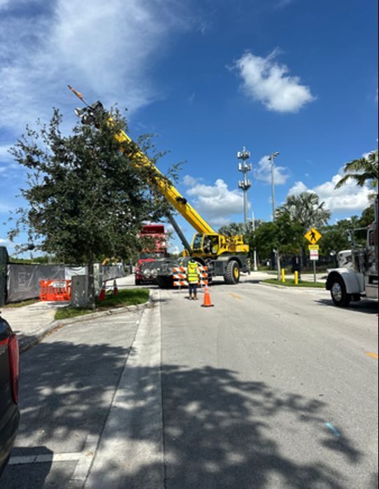 Crane on site